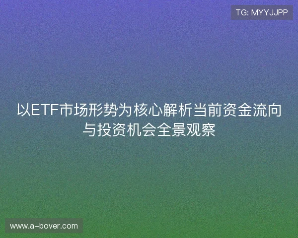 以ETF市场形势为核心解析当前资金流向与投资机会全景观察
